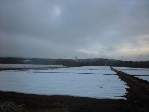 八ヶ岳野辺山ウルトラマラソン