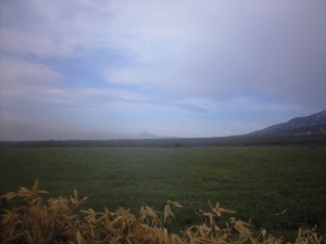 八ヶ岳野辺山ウルトラマラソン