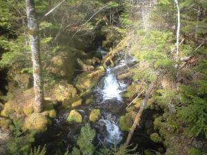 八ヶ岳野辺山ウルトラマラソン
