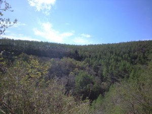 八ヶ岳野辺山ウルトラマラソン