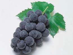 食べ放題！（イメージです）