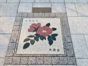 北海道、はまなす。その上部には0.5kmの文字。