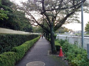 北の丸公園近辺のコース。無理な走行は大変危険です！