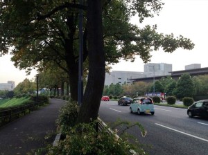 千鳥ヶ淵をすぎてしばらく行くと右手前に国立劇場が。（その奥は最高裁です）