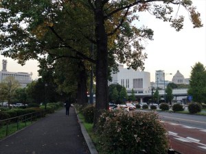 国会議事堂の頭も見えます！