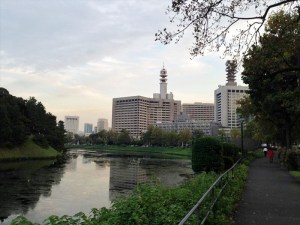 下りに入った後の景色はこのような感じ。