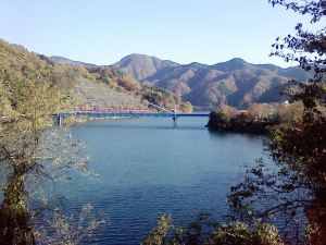 1470255_252079851614303_533761765_n