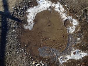 1473015_384486985021212_1829272951_n