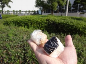 途中頂いた、私設エイドのおにぎり。一口サイズなのに心遣いを感じます。